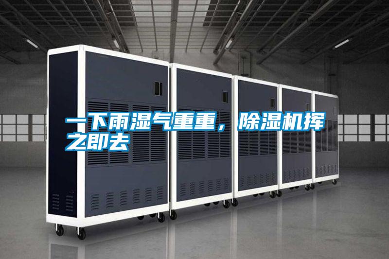 一下雨湿气重重,除湿机挥之即去