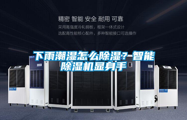 下雨潮湿怎么除湿?智能除湿机显身手