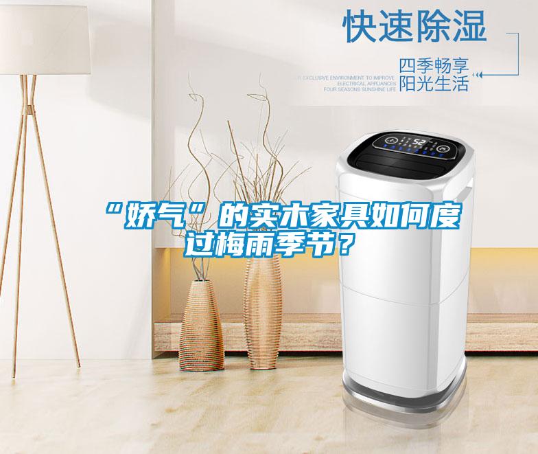 “娇气”的实木家具如何度过梅雨季节?