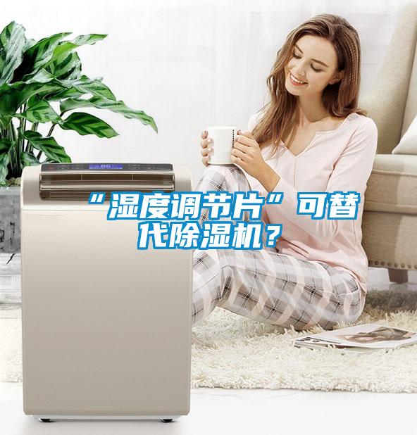 “湿度调节片”可替代除湿机?