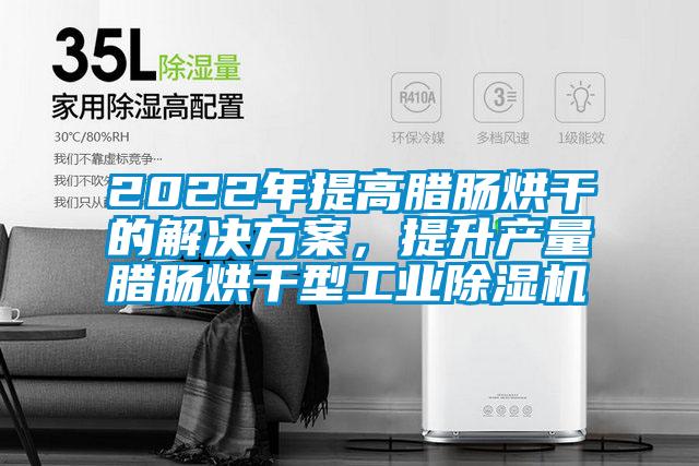 2022年提高腊肠烘干的解决方案,提升产量腊肠烘干型工业除湿机