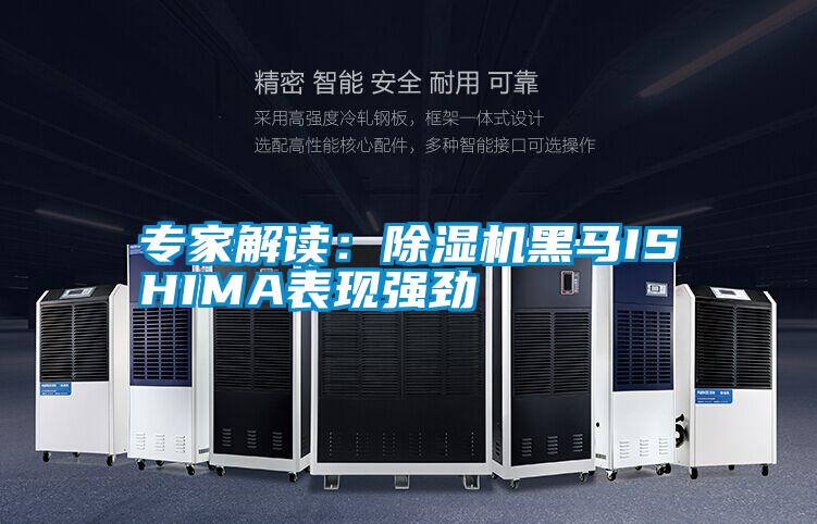 专家解读:除湿机黑马ISHIMA表现强劲