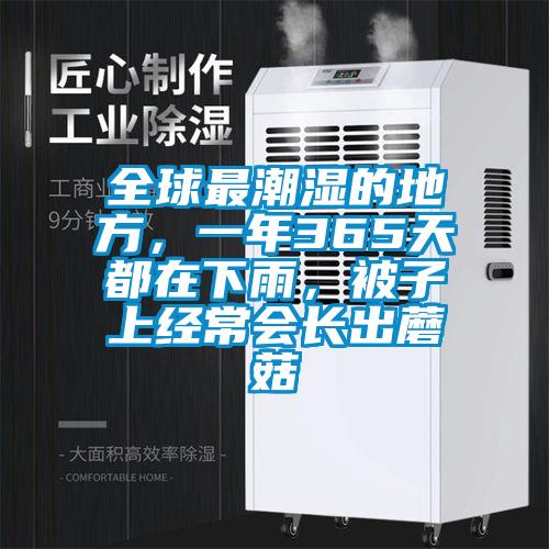 全球最潮湿的地方,一年365天都在下雨,被子上经常会长出蘑菇
