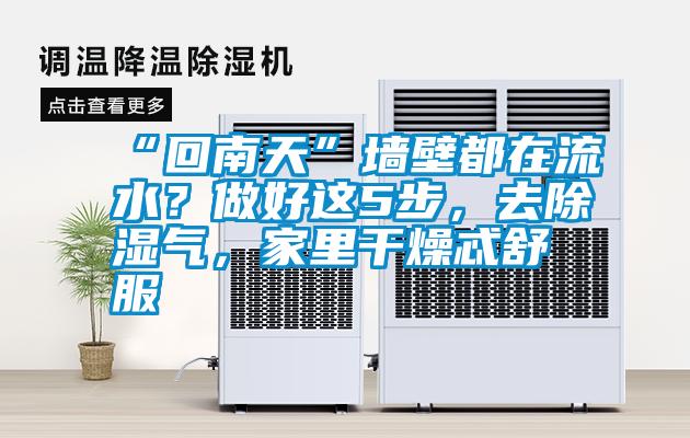 “回南天”墙壁都在流水?做好这5步,去除湿气,家里干燥忒舒服