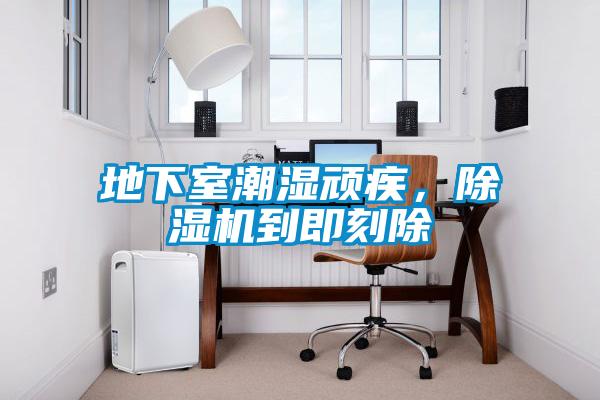 地下室潮湿顽疾,除湿机到即刻除