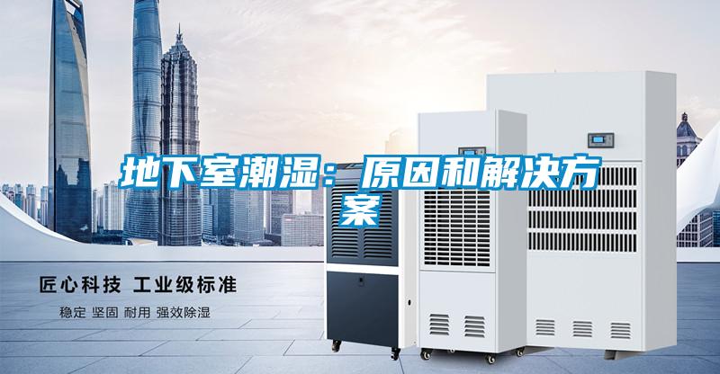地下室潮湿:原因和解决方案