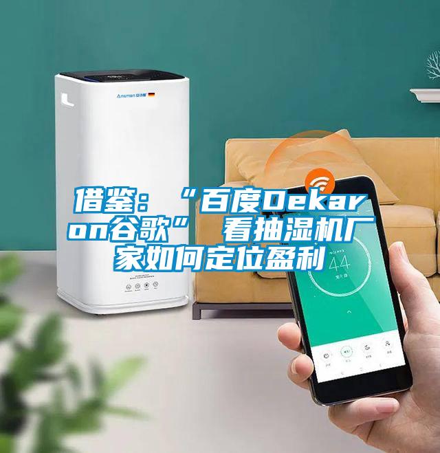 借鉴:“百度Dekaron谷歌” 看抽湿机厂家如何定位盈利
