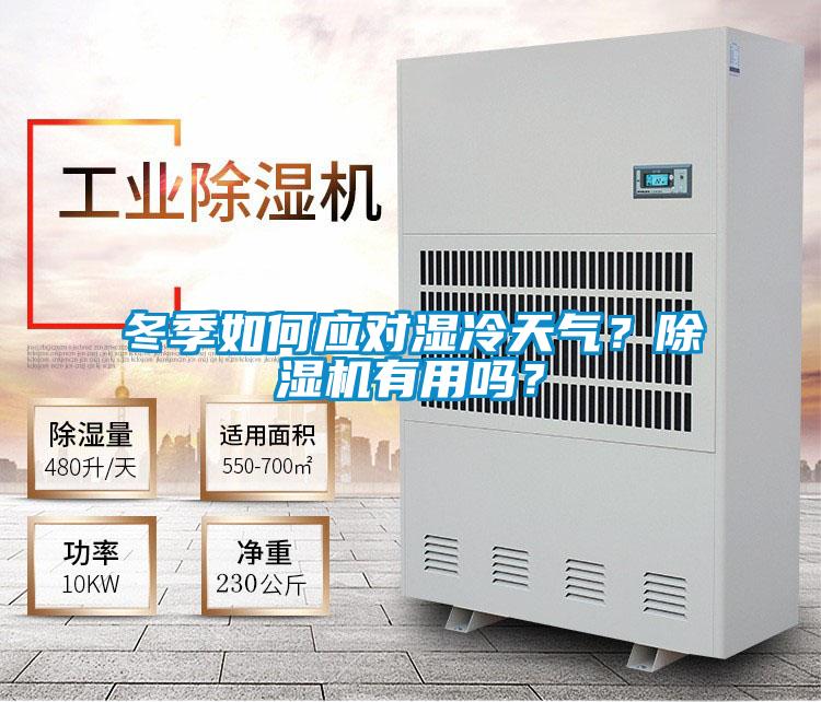 冬季如何应对湿冷天气?除湿机有用吗?