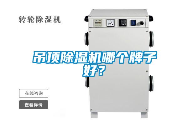 吊顶除湿机哪个牌子好?