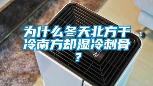 为什么冬天北方干冷南方却湿冷刺骨?