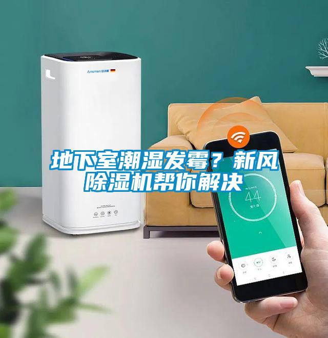 地下室潮湿发霉?新风除湿机帮你解决