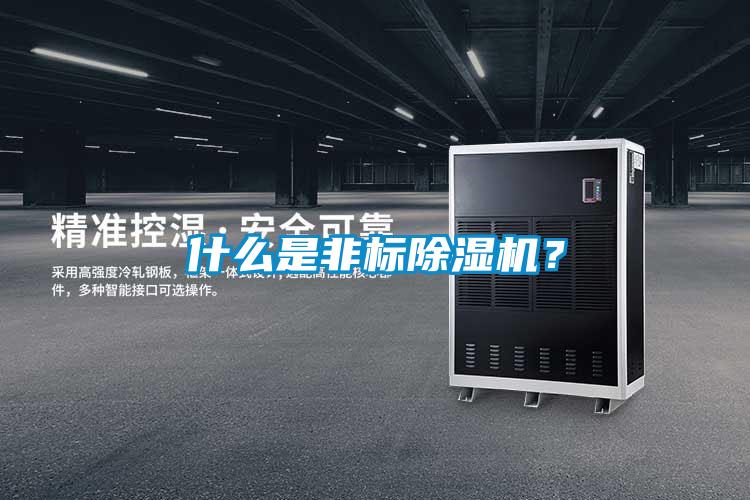 什么是非标除湿机?