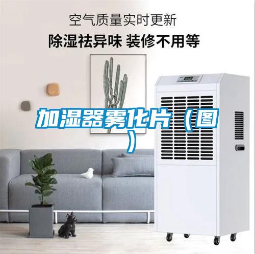 加湿器雾化片(图)