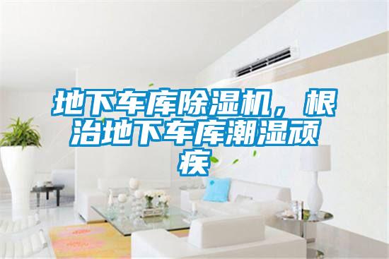 地下车库除湿机,根治地下车库潮湿顽疾