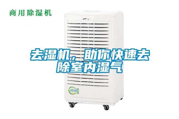 去湿机,助你快速去除室内湿气