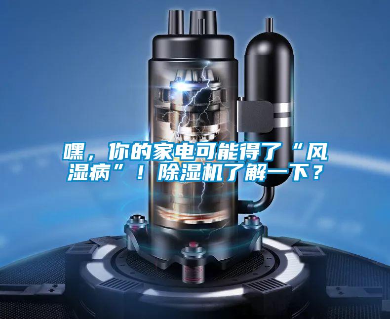嘿,你的家电可能得了“风湿病”!除湿机了解一下?