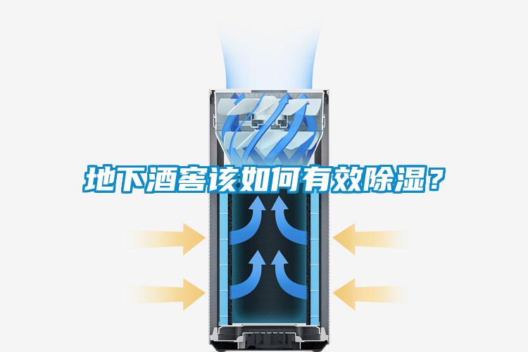 地下酒窖该如何有效除湿?