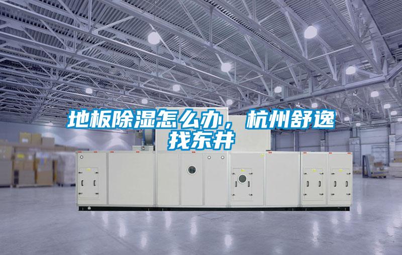 地板除湿怎么办,杭州舒逸找东井