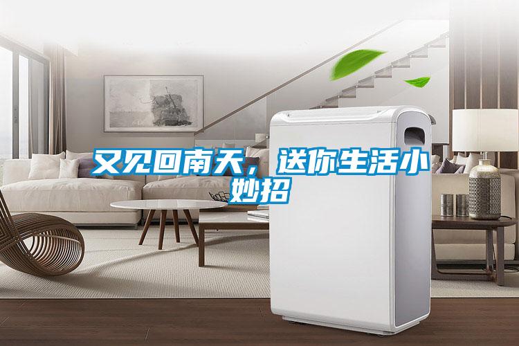 又见回南天,送你生活小妙招