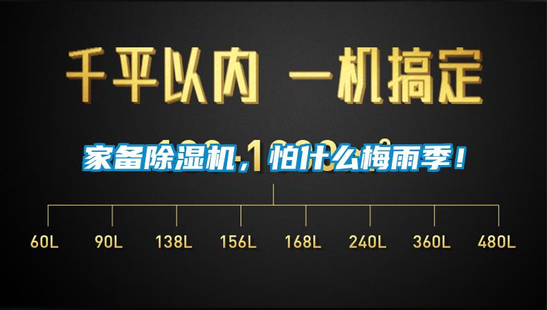 家备除湿机,怕什么梅雨季!
