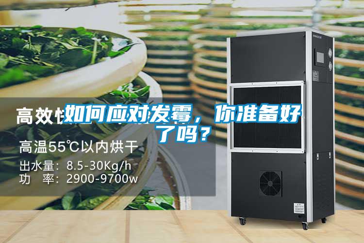 如何应对发霉,你准备好了吗?