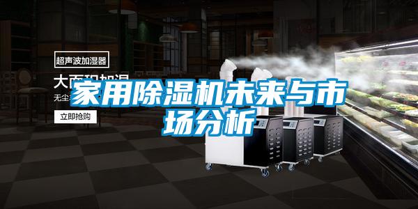 家用除湿机未来与市场分析