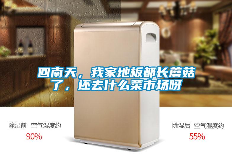 回南天，我家地板都长蘑菇了，还去什么菜市场呀