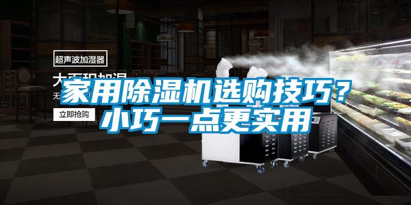 家用除湿机选购技巧?小巧一点更实用