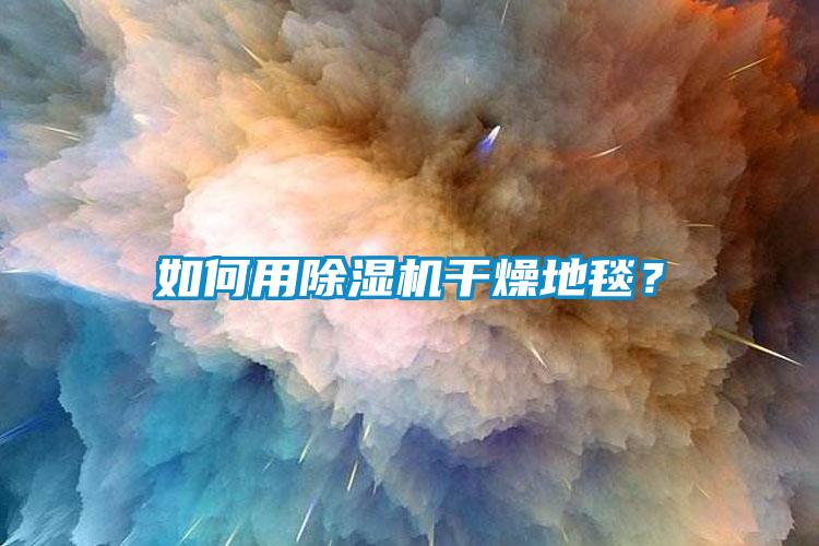 如何用除湿机干燥地毯?