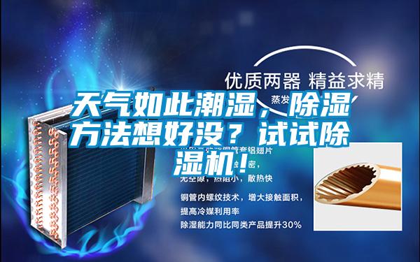 天气如此潮湿,除湿方法想好没?试试除湿机!