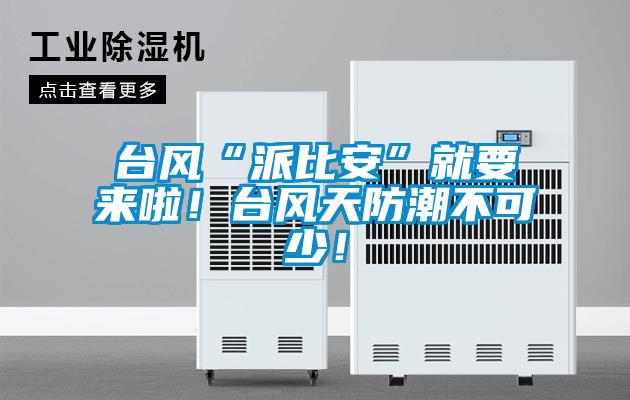 台风“派比安”就要来啦!台风天防潮不可少!