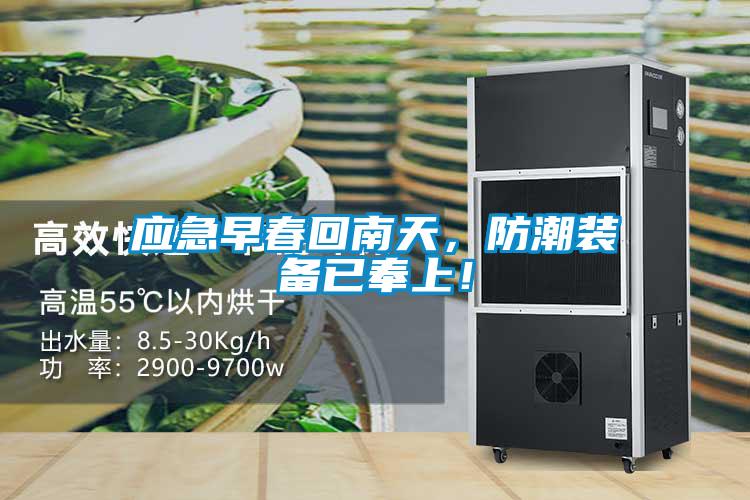 应急早春回南天,防潮装备已奉上!