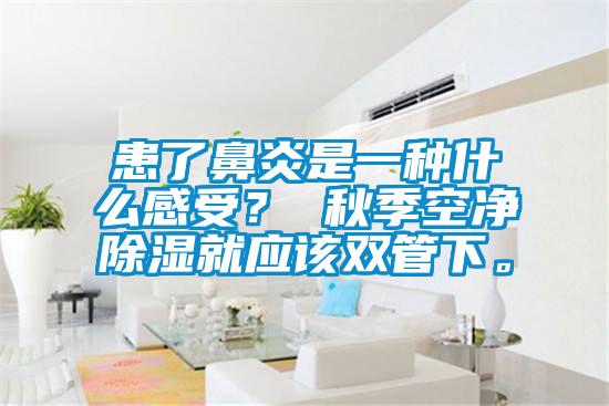 患了鼻炎是一种什么感受? 秋季空净除湿就应该双管下。