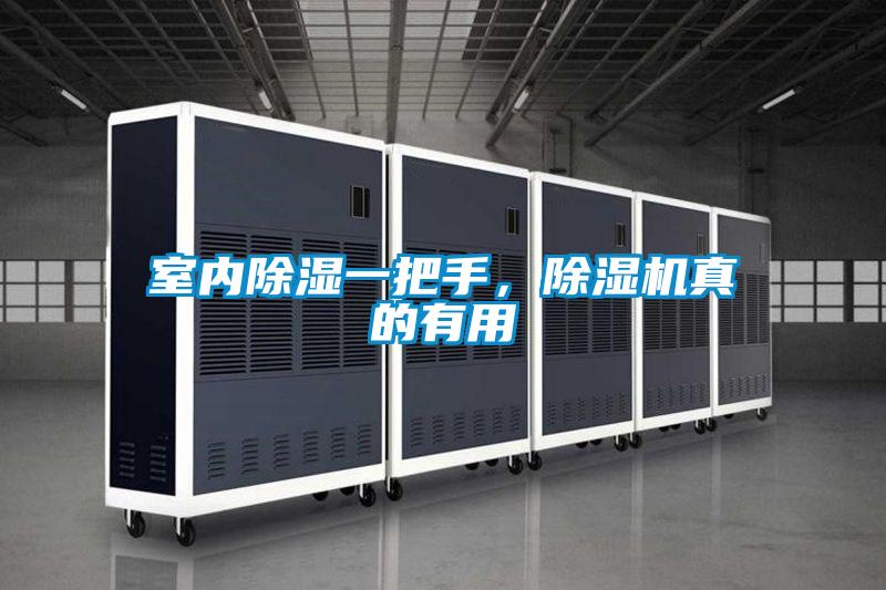 室内除湿一把手,除湿机真的有用