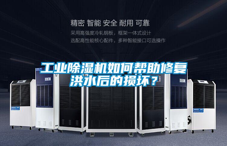 工业除湿机如何帮助修复洪水后的损坏?