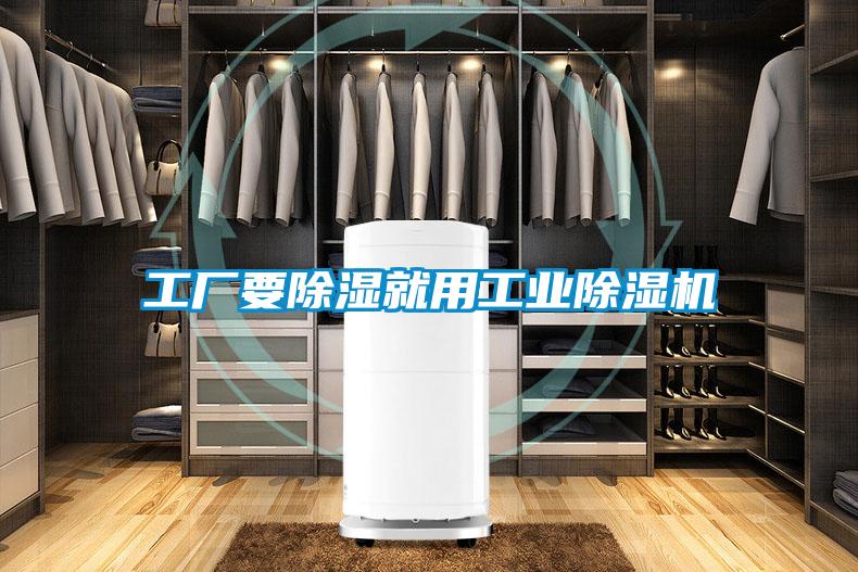 工厂要除湿就用工业除湿机