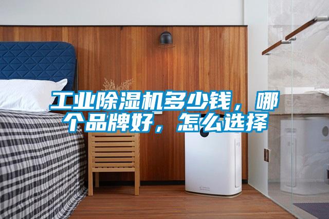 工业除湿机多少钱,哪个品牌好,怎么选择