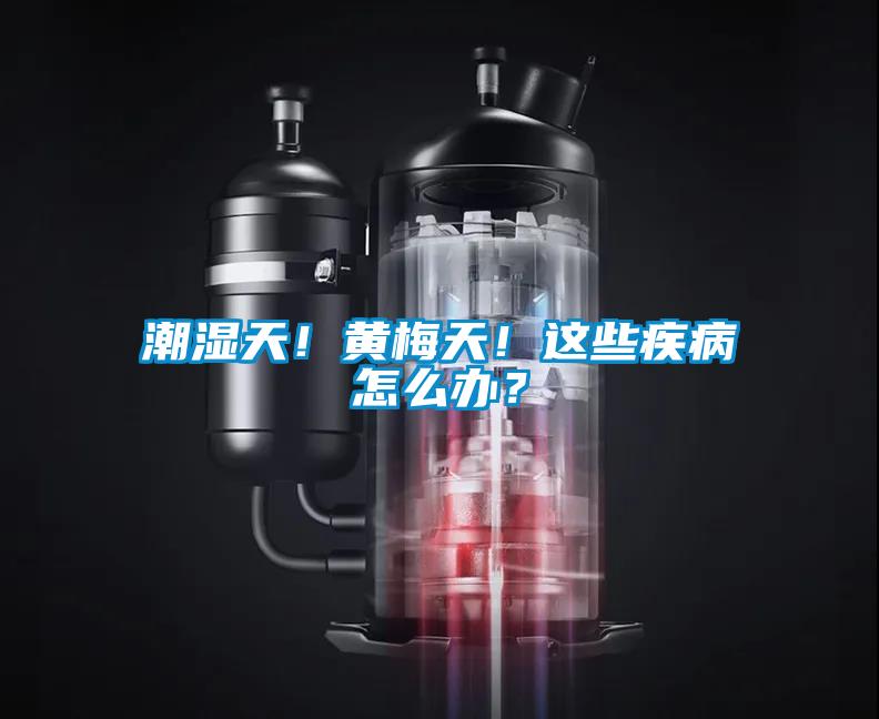 潮湿天!黄梅天!这些疾病怎么办?