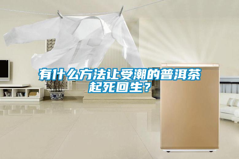 有什么方法让受潮的普洱茶起死回生?