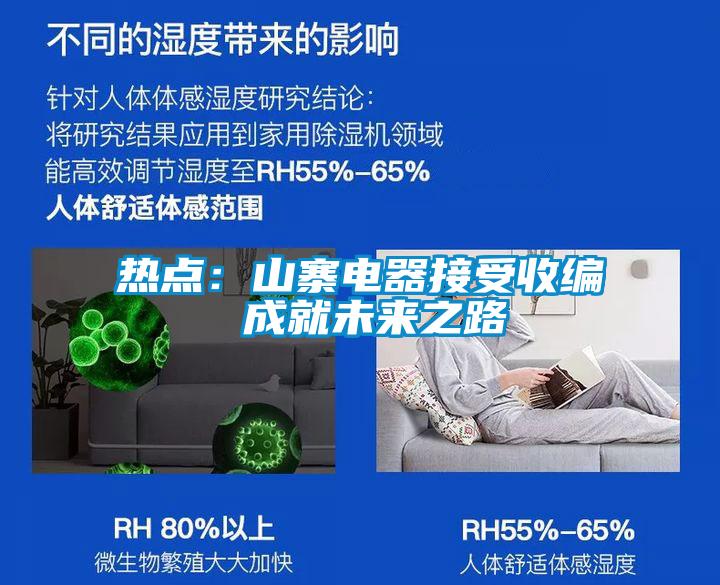 热点:山寨电器接受收编 成就未来之路