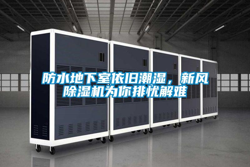 防水地下室依旧潮湿,新风除湿机为你排忧解难