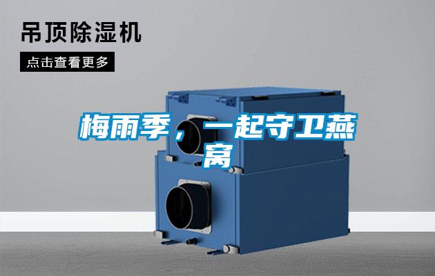 梅雨季,一起守卫燕窝