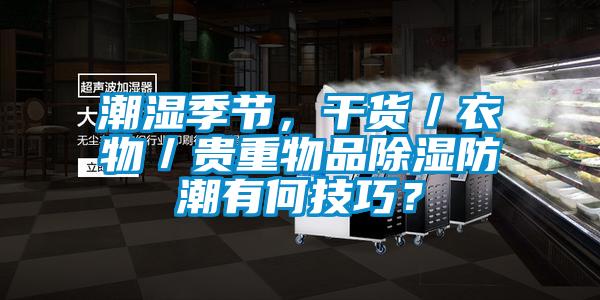 潮湿季节,干货/衣物/贵重物品除湿防潮有何技巧?