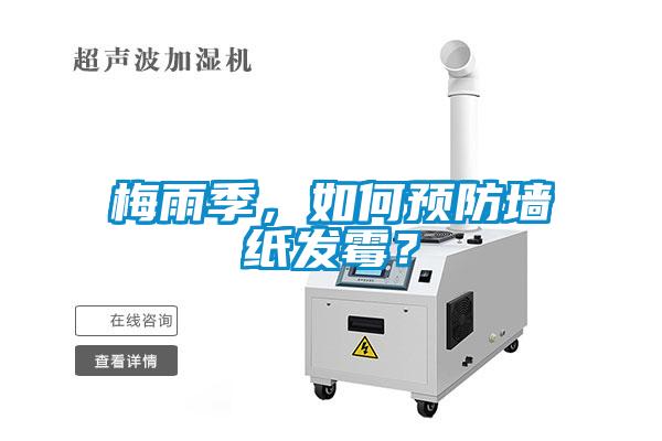 梅雨季,如何预防墙纸发霉?