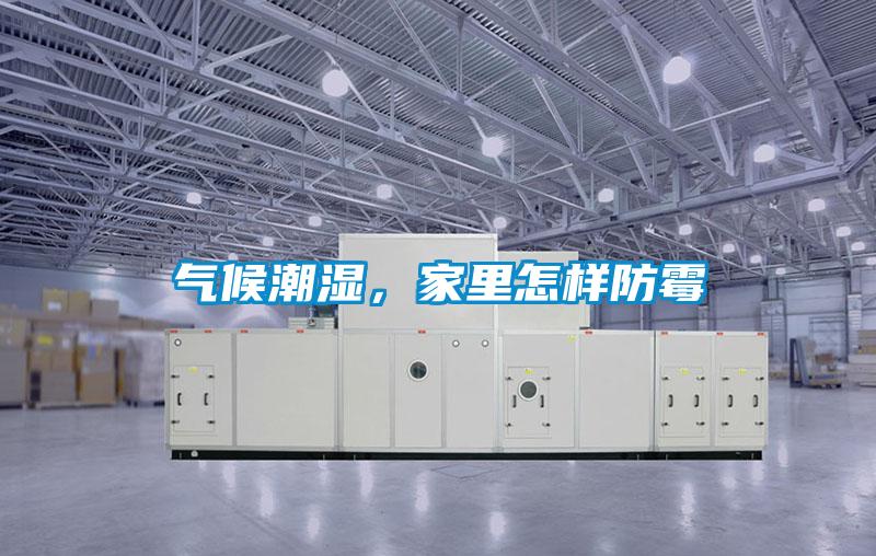 气候潮湿,家里怎样防霉