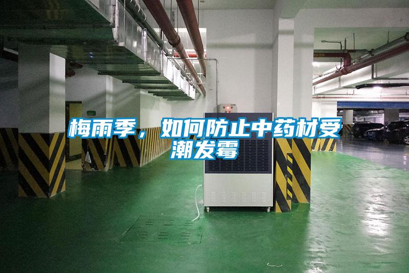 梅雨季,如何防止中药材受潮发霉