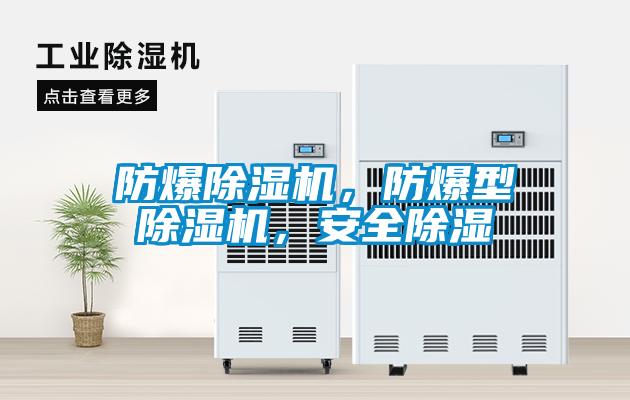 防爆除湿机,防爆型除湿机,安全除湿