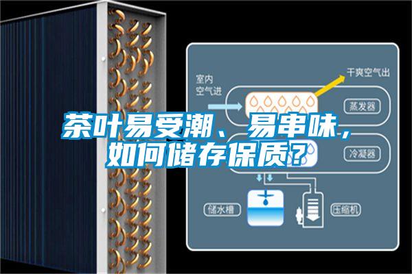 茶叶易受潮、易串味,如何储存保质?