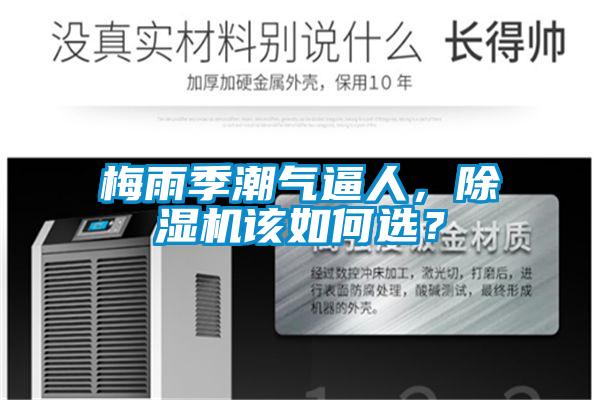 梅雨季潮气逼人,除湿机该如何选?