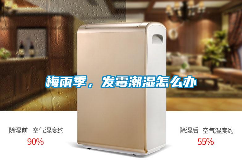 梅雨季,发霉潮湿怎么办